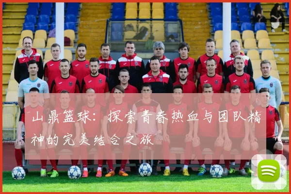 山鼎篮球：探索青春热血与团队精神的完美结合之旅